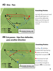 The Triangle Training Method eBook